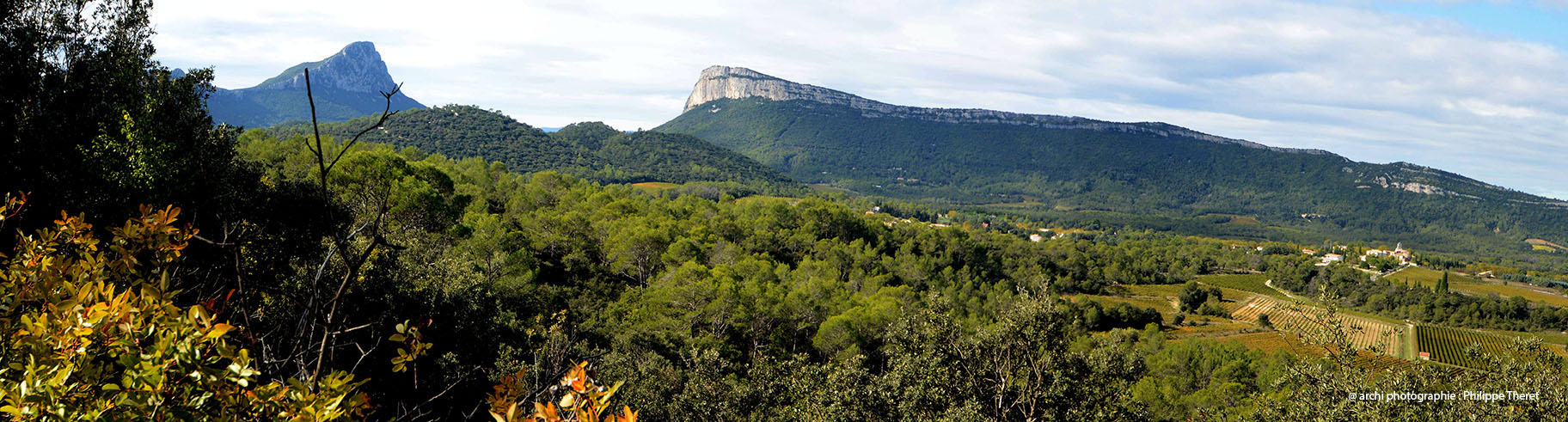 pano pic saint loup valflaunes